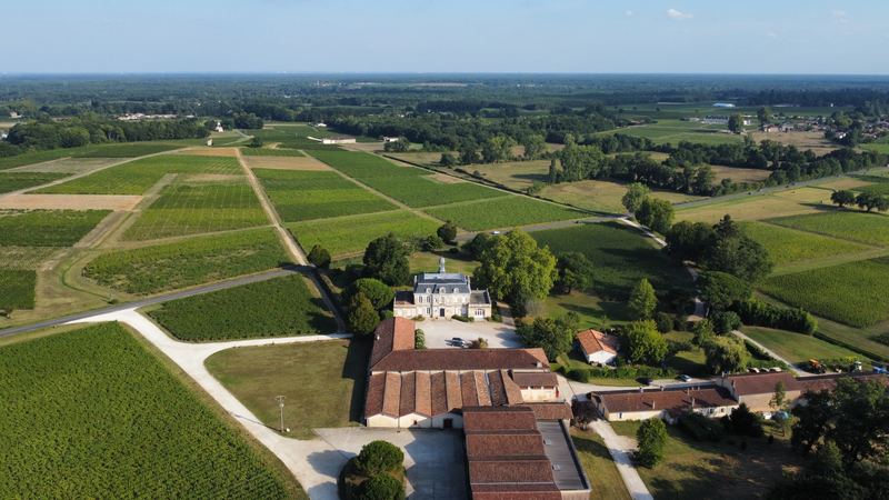 Château et domaine viticole au milieu des vignes, vue aérienne par drone