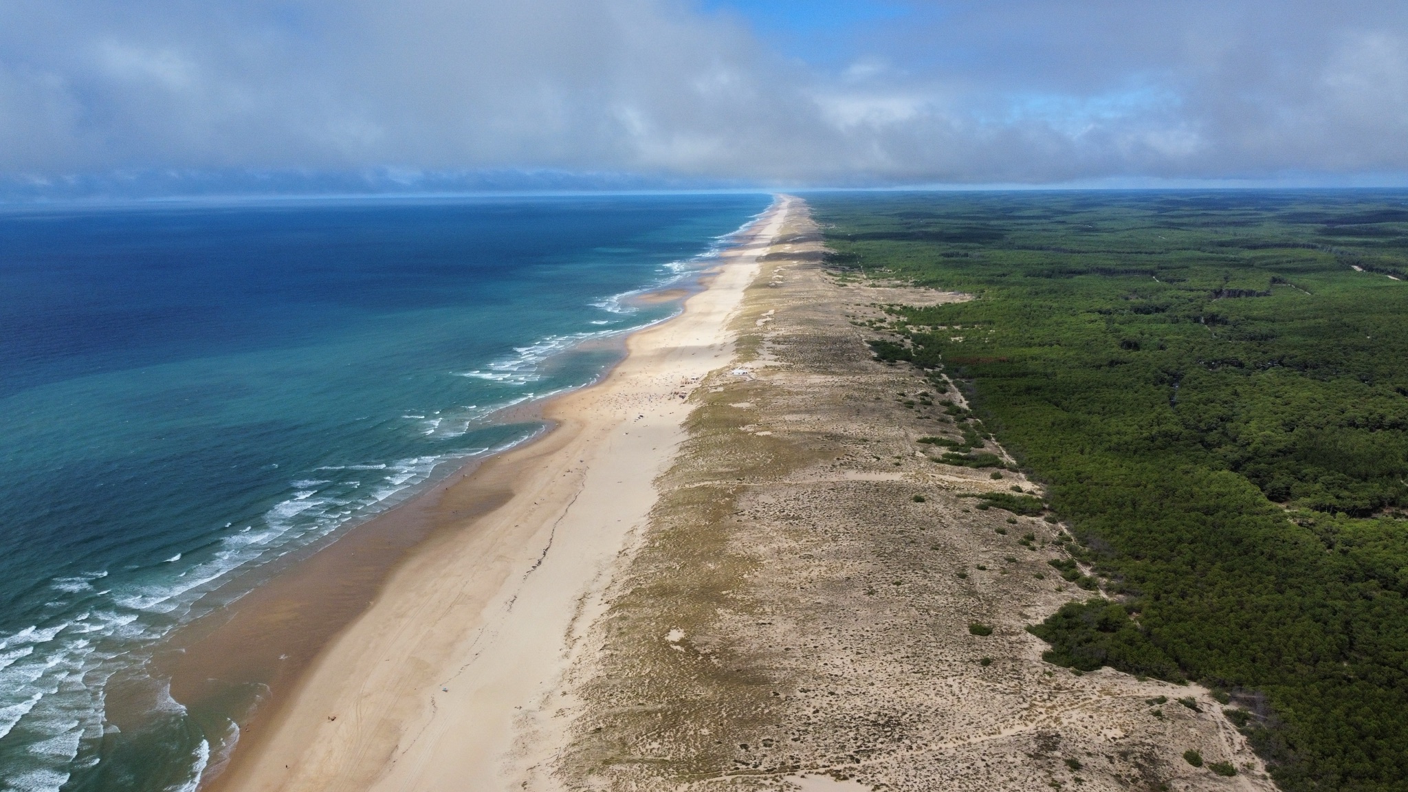 Plage océane et forêt de pins de la presqu'île du Cap Ferret, vue aérienne
