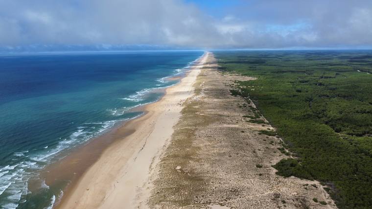 Plage océane et forêt de pins de la côte atlantique, vue aérienne par drone